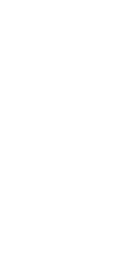 Circul Dots
